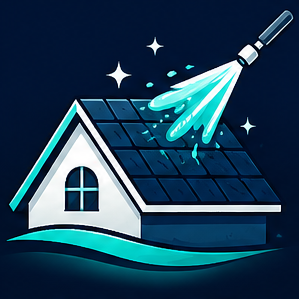 Roof Cleaning